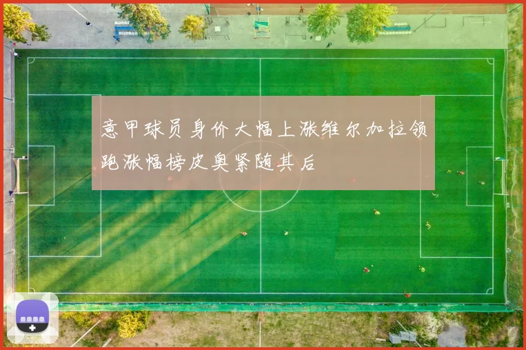 意甲球员身价大幅上涨维尔加拉领跑涨幅榜皮奥紧随其后