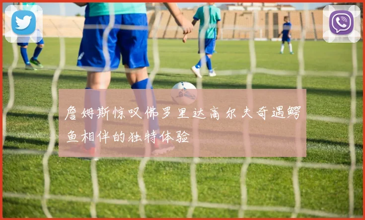 詹姆斯惊叹佛罗里达高尔夫奇遇鳄鱼相伴的独特体验