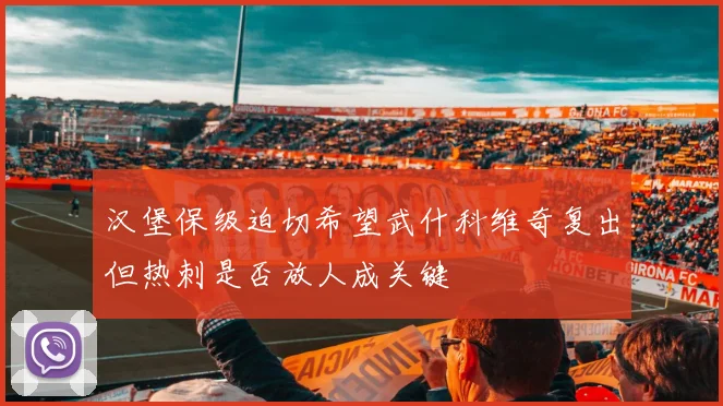 汉堡保级迫切希望武什科维奇复出但热刺是否放人成关键