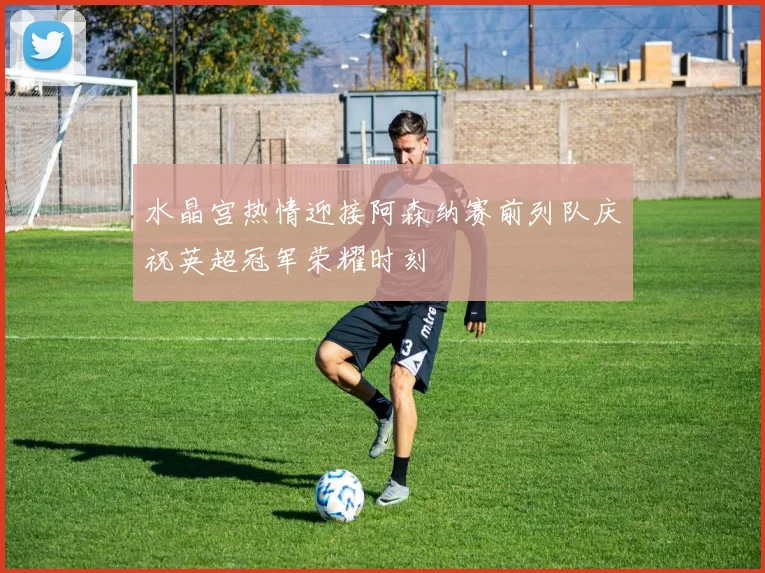水晶宫热情迎接阿森纳赛前列队庆祝英超冠军荣耀时刻