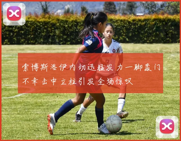 索博斯洛伊内切迅猛发力一脚轰门不幸击中立柱引发全场惊叹